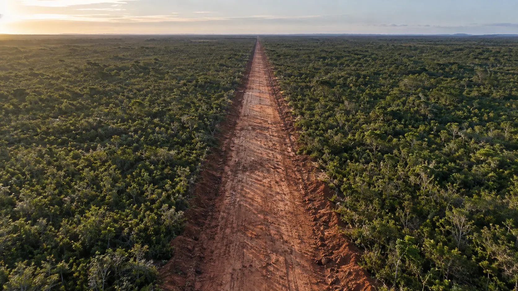 Estrada aberta em linha reta através de vegetação densa